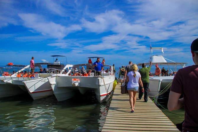 Humpback whales Watching + Samana Eco-Tour - Samana City and its Victorian streets