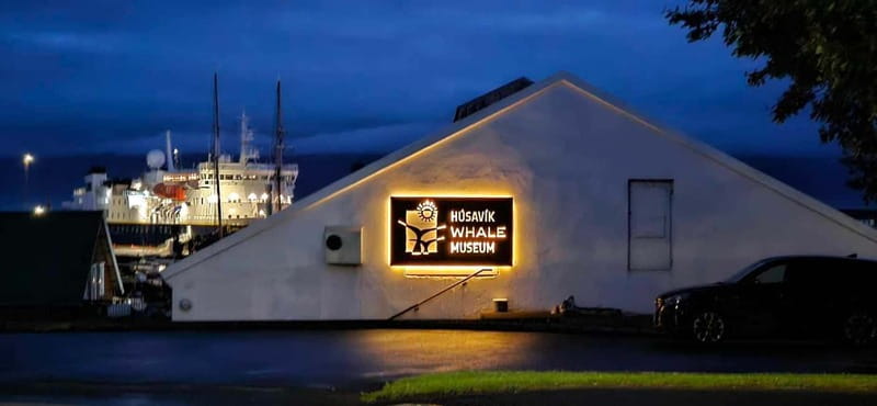 Húsavík: Whale Museum Entry Ticket - Who Will Enjoy This Museum Most?