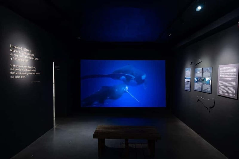 Húsavík: Whale Museum Entry Ticket - Should You Book the Húsavík Whale Museum?