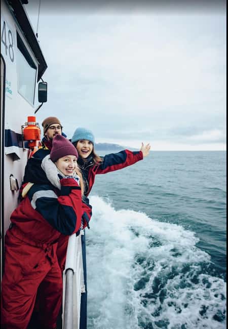 Húsavík: Whale Watching – Family Run with Indoor Seats - Key points before you book