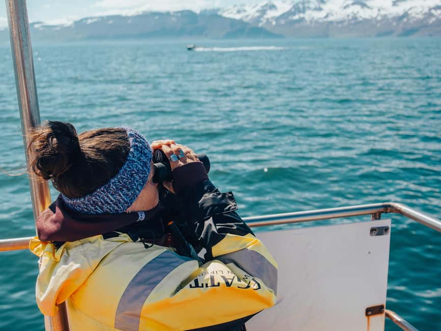 Húsavík: Whale Watching – Family Run with Indoor Seats - Is $96 good value?