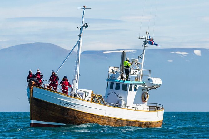 Húsavík Whale Watching Tour, family owned and operated - Key points to know before booking