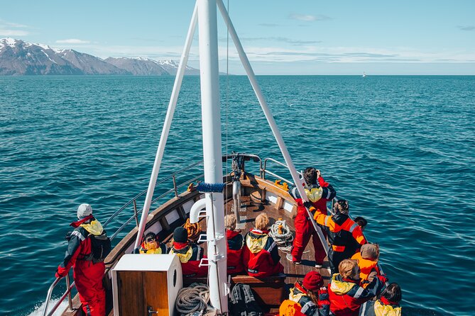 Húsavík Whale Watching Tour, family owned and operated - The three-hour route aboard Moby Dick