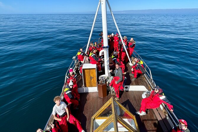 Húsavík Whale Watching Tour, family owned and operated - Is $102.84 a fair price?