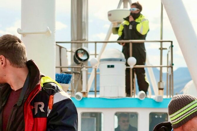 Húsavík Whale Watching Tour, family owned and operated - Who will enjoy this trip most?