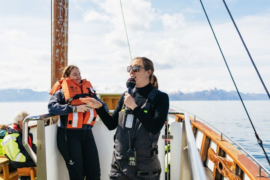 Húsavík: Whale Watching Tour with Guide - Key points before you book