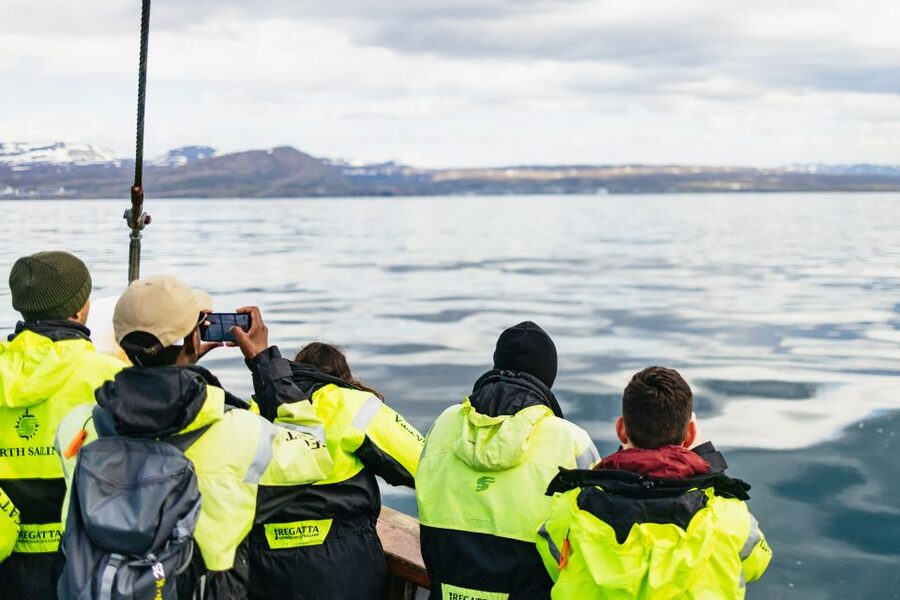 Húsavík: Whale Watching Tour with Guide - The guide can make or break the sighting