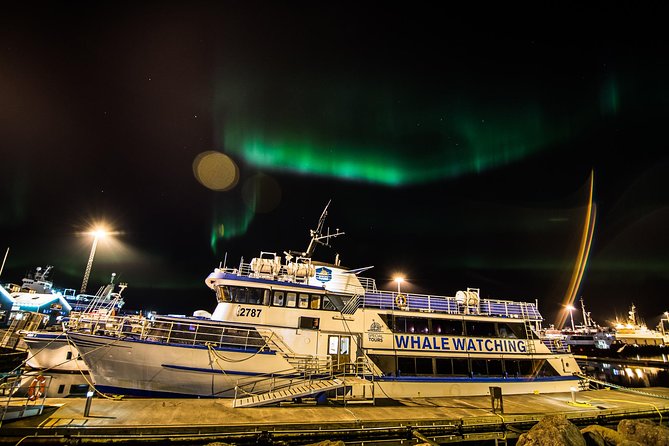 Iceland Super Saver: Northern Lights Cruise plus Whale-Watching Tour from Reykjavik - What the boat facilities mean in practice
