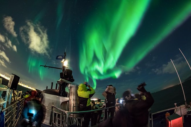 Iceland Super Saver: Northern Lights Cruise plus Whale-Watching Tour from Reykjavik - Same day or separate days?