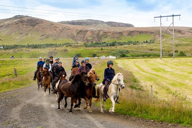 Icelandic Horse Riding and Whale Watching Cruise from Reykjavík - What the ride feels like in Icelandic weather