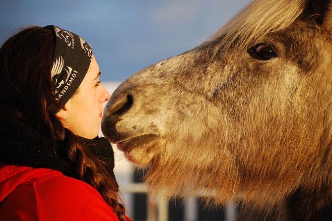 Icelandic Horse Riding and Whale Watching Tour from Reykjavik - Why this horse and whale combination works