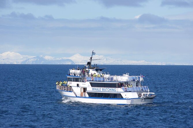 Icelandic Horse Riding and Whale Watching Tour from Reykjavik - The transfer to Reykjavik Old Harbor