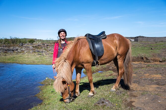 Icelandic Horse Riding and Whale Watching Tour from Reykjavik - Who will enjoy this tour most