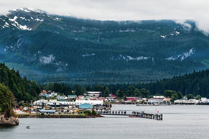 Icy Strait Shore Excursion: Whale Watching Adventure Tour - The service issue you should plan around