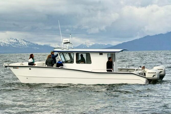 Icy Strait Whale & Wildlife Endeavor - Timing, weather, and cancellation details