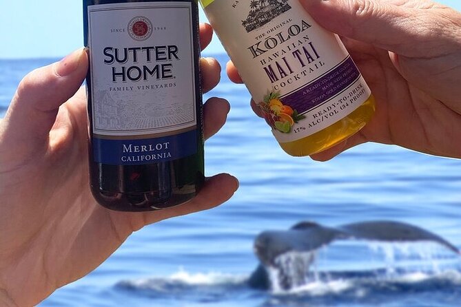 'Imiloa Express Whale Watch and Cocktail Tour - Dolphins, turtles, and other marine life