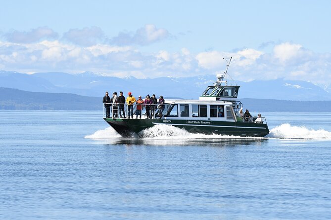 Intimate West Coast Whale Watching - Partly-Sheltered - Leaving from Granville Island’s waterfront