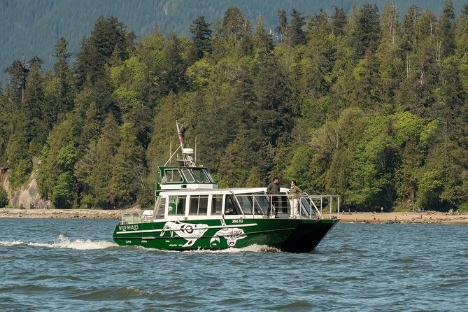 Intimate West Coast Whale Watching - Partly-Sheltered - A partly-sheltered boat with a small-group feel
