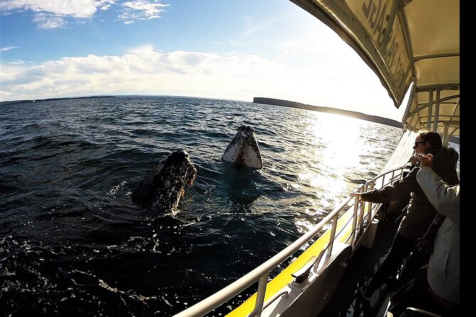 Jervis Bay Whale Watching Tour - Passing through the bay and beyond the heads