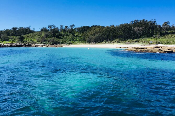 Jervis Bay Whale Watching Tour - Dolphins, seals, and other welcome surprises