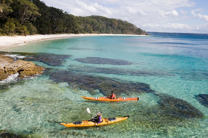 Jervis Bay Whale Watching Tour - Who will enjoy this cruise most?