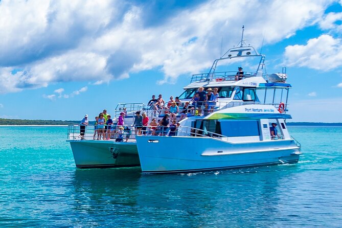 Jervis Bay Whale Watching Tour - The best part: humpback whales in motion