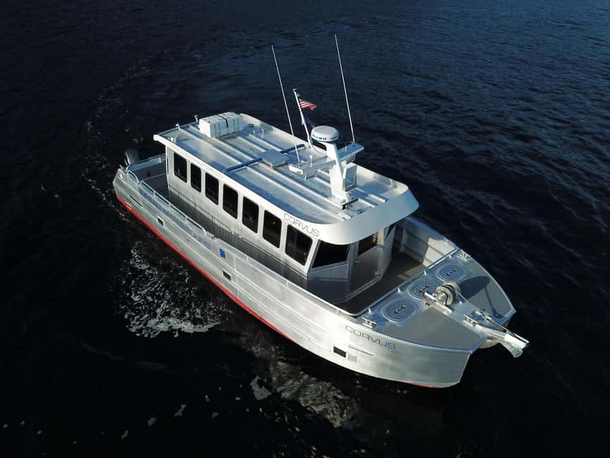 Juneau: 3.5-Hour Small Group Whale Watching Tour - Meeting at the Mount Roberts Tramway