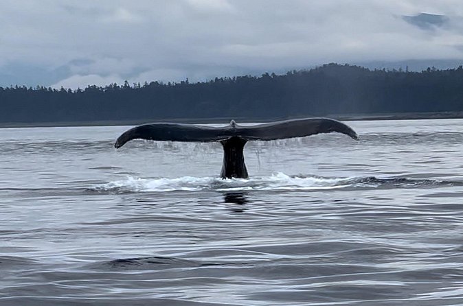 Juneau Jetski & Whale Adventure - Stop 1: Mendenhall Glacier from the water