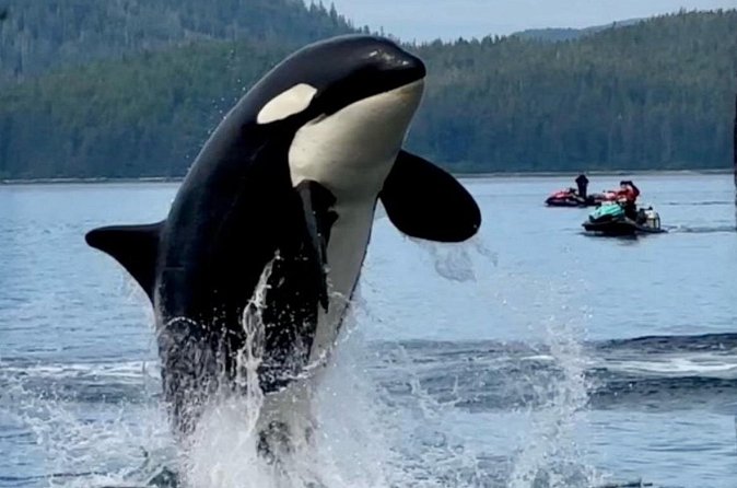 Juneau Jetski & Whale Adventure - Stop 2: Juneau’s island waterways