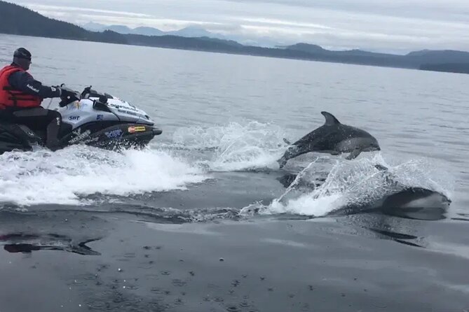 Juneau Jetski & Whale Adventure - Stop 3: Admiralty Island and the Fortress of the Bear