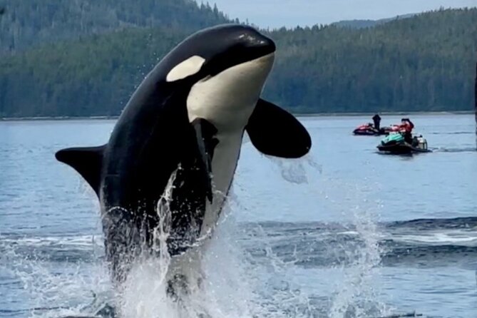 Juneau Jetski & Whale Adventure - Suiting up for cold Alaska water