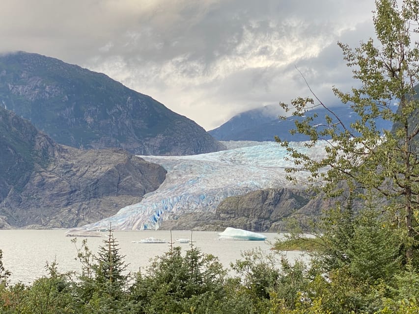 Juneau: Mendenhall Glacier and Whale Watching Tour - Starting beneath the Mount Roberts Tramway