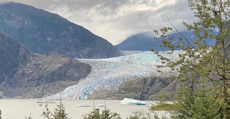 Juneau: Mendenhall Glacier and Whale Watching Tour - Steep Creek and the chance of seeing a bear