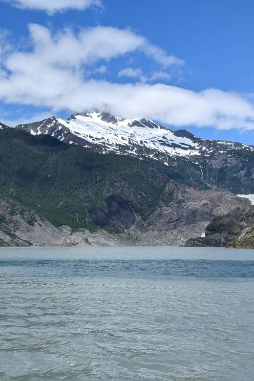 Juneau: Mendenhall Glacier Waterfall & Whale Watching Tour - Meeting the bus near Mt. Roberts Tramway