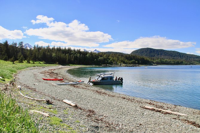 Juneau Shore Excursion: Paddle with Whales Kayak Adventure - How the six-hour schedule works