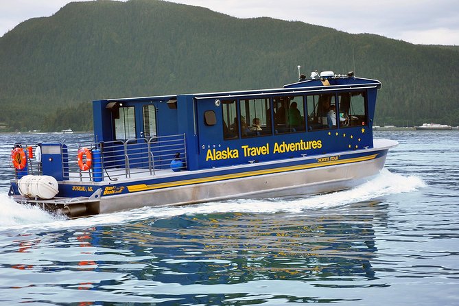 Juneau Whale Watching Adventure - The bonus wildlife around Auke Bay