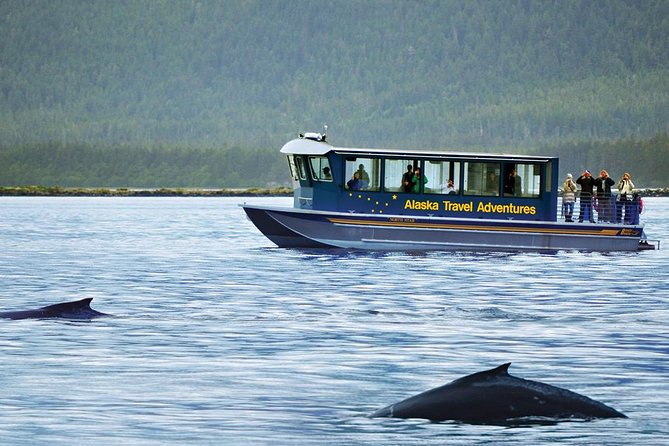 Juneau Whale Watching Adventure - Guides and captains make a real difference