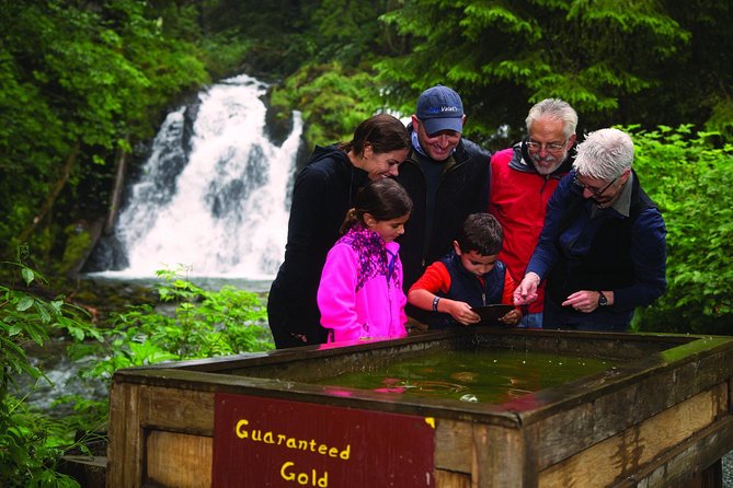 Juneau Whale Watching and Salmon Bake - Who should book this Juneau combination tour?