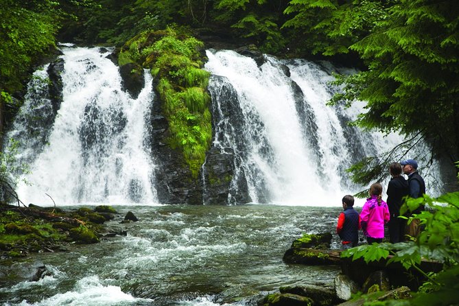 Juneau Whale Watching and Salmon Bake - Final call: a strong all-around day, with flexible expectations