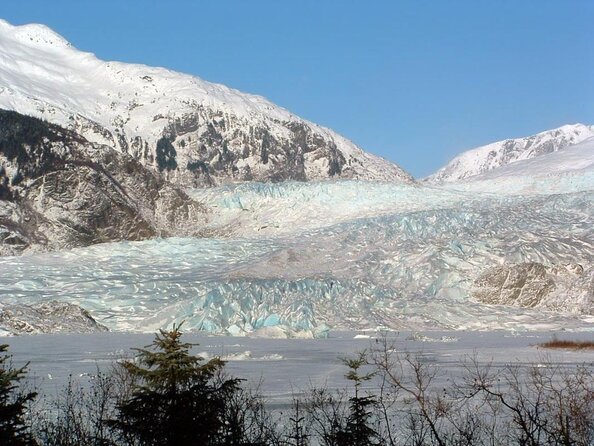 Juneau Wildlife Whale Watching & Mendenhall Glacier - From the bus to the whale boat