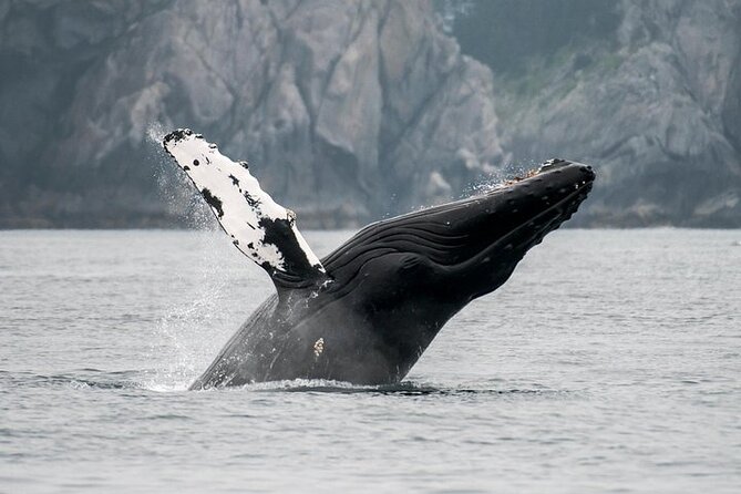 Juneau Wildlife Whale Watching - Mendenhall Glacier is a quick roadside bonus