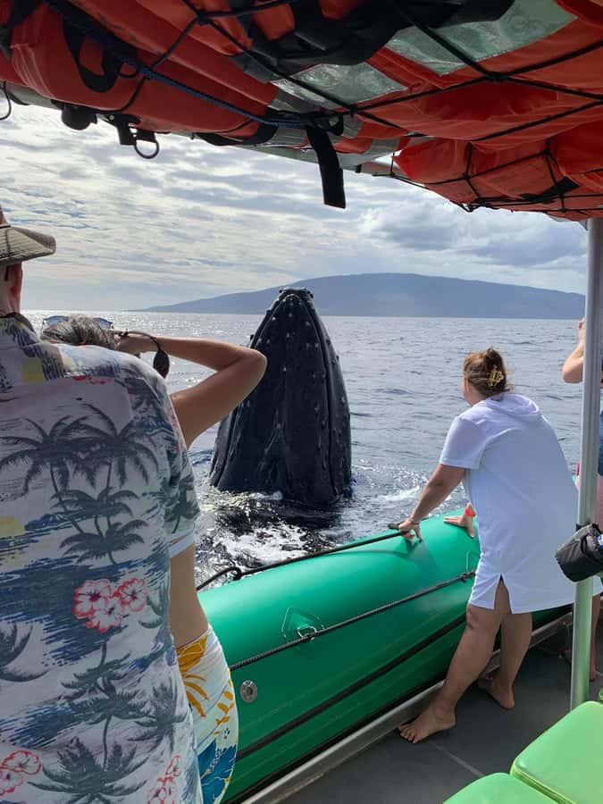 Ka'anapali: Whale Watching Boat Tour - Meeting the Magic Merman at Kaanapali Beach
