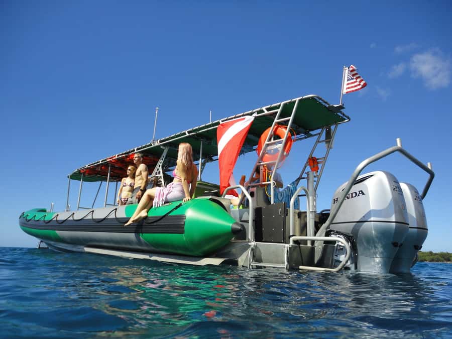 Ka'anapali: Whale Watching Boat Tour - Looking for 40-ton humpback whales