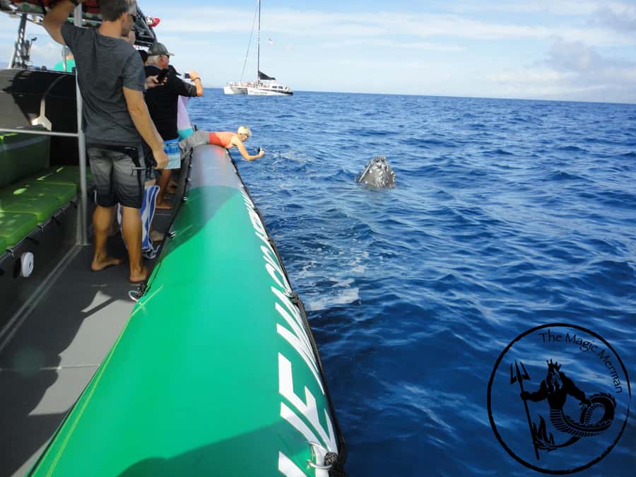 Ka'anapali: Whale Watching Boat Tour - Leaving Kaanapali Beach for open water