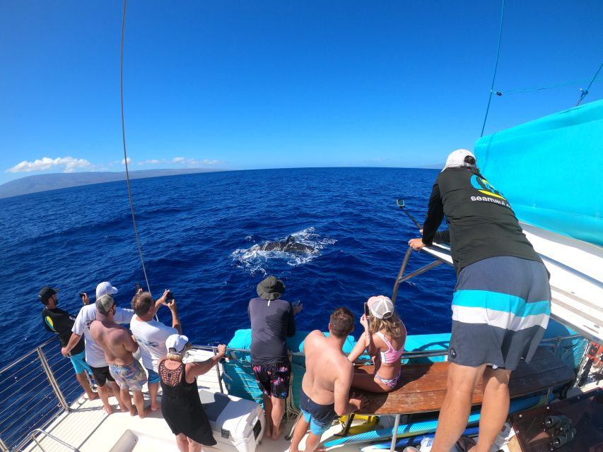 Kaanapali: Whale Watching Cruise with Open Bar - Finding Pacific humpback whales near Maui