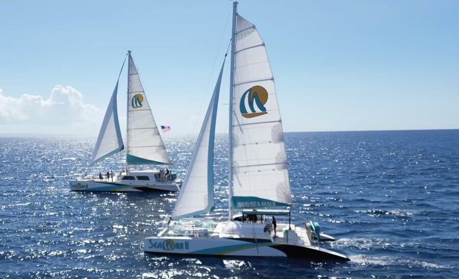 Kaanapali: Whale Watching Cruise with Open Bar - Should you book Sea Maui’s Kaanapali whale cruise?
