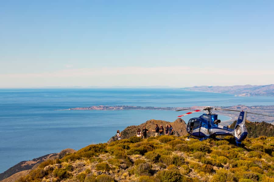 Kaikoura: 1-Hour Whale Watching Helicopter Tour - Who should book this Kaikōura flight?