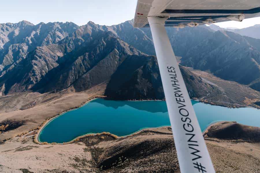 Kaikoura: Extended Flight Whale Watching & Mountain Tour - Why Kaikoura is such a good place for an air tour