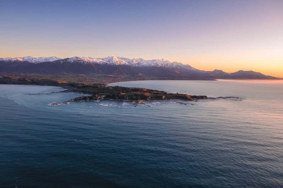 Kaikoura: Extended Flight Whale Watching & Mountain Tour - How the $236 price measures up