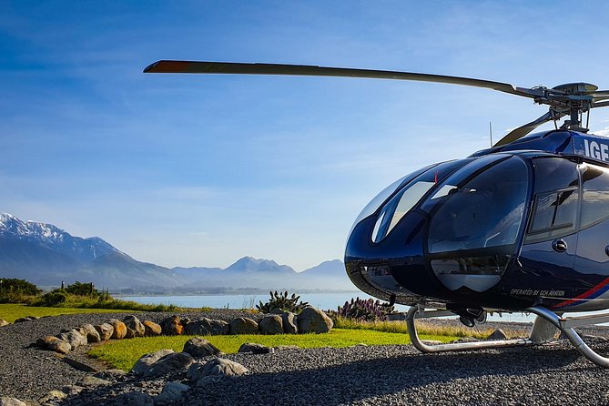 Kaikoura Helicopters Classic Whale Watch - Wildlife beyond the main whale search